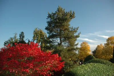 Barockgarten am Schloss Drottningholm in Schweden, umgeben von vierreihigen Kaiser-Linden, die von Lorenz von Ehren gezogen und 2008 geliefert wurden. Heute prägen sie majestätisch die Landschaft.